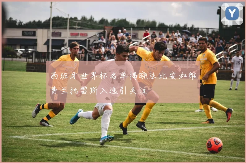 西班牙世界杯名单揭晓法比安加维费兰托雷斯入选引关注